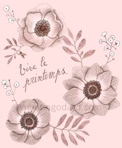 Illustration 'Vive le printemps' - Dessin de fleurs au crayon à papier - Anémones, oliviers, gypsophiles