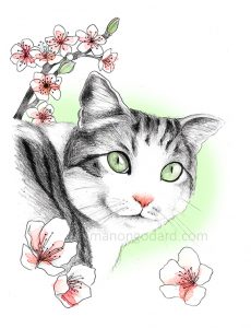 Illustration d'un chat sous les fleurs de cerisiers - dessin au crayon à papier
