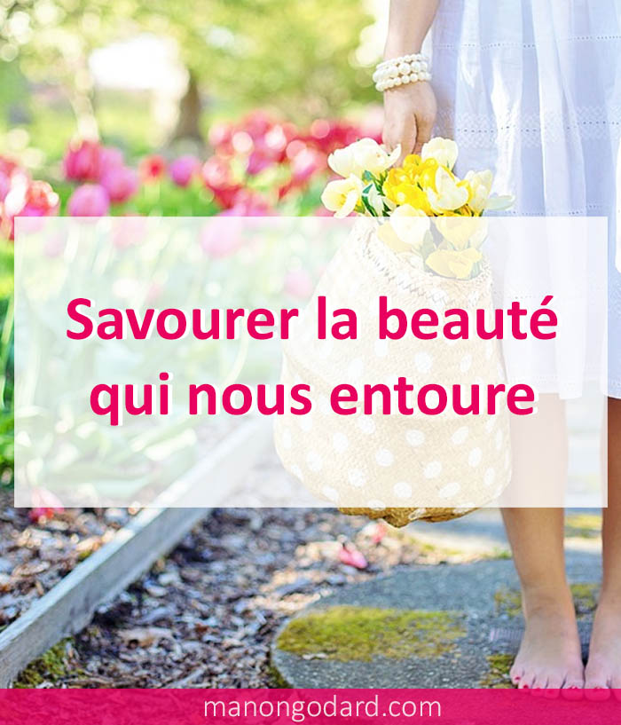 Savourer la beauté qui nous entoure