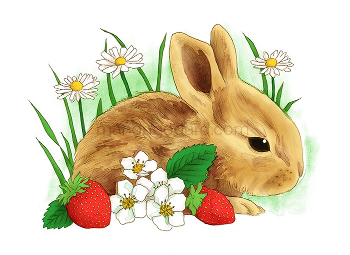 Dessin lapin au crayon, illustration de Pâques par Manon Godard