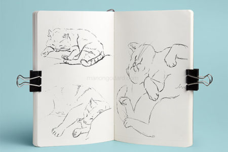 Croquis de chat par Manon Godard
