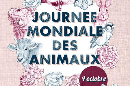 Illustration pour la Journée Mondiale des Animaux par Manon Godard (2018)