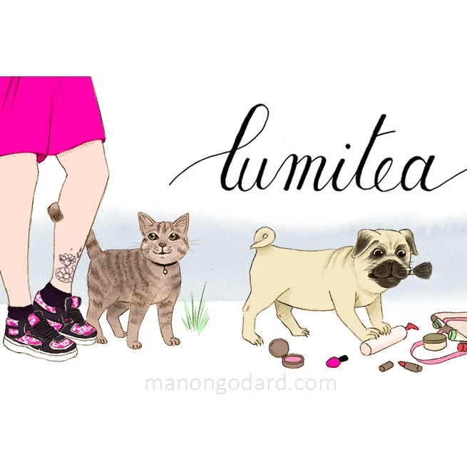 Bannière pour le blog Lumitea